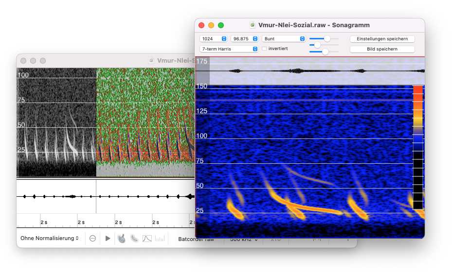 Beispiel für Sonagramm